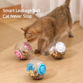 Treat Ball — Indoor Wild