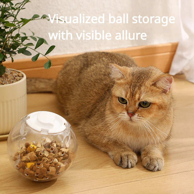 Treat Ball — Indoor Wild