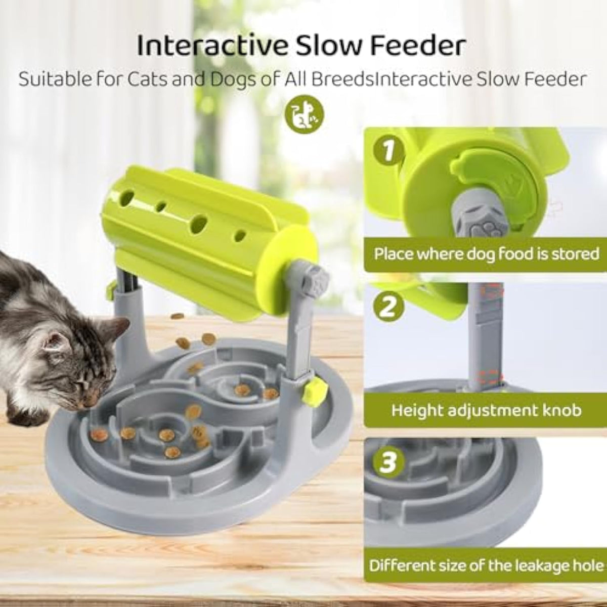 Cat Forage Board — Indoor Wild